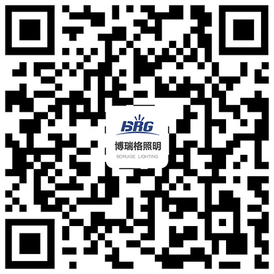 揚(yáng)州博瑞格照明科技有限公司